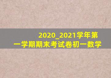 2020_2021学年第一学期期末考试卷初一数学