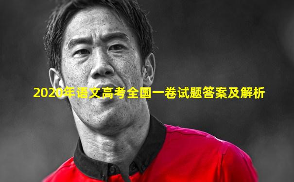 2020年语文高考全国一卷试题答案及解析