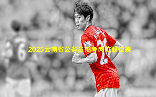 2025云南省公务员招考岗位职位表