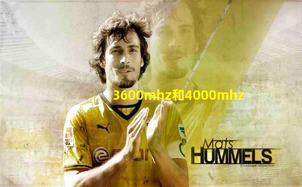 3600mhz和4000mhz