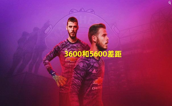 3600和5600差距