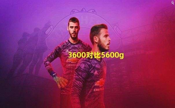 3600对比5600g