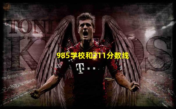 985学校和211分数线