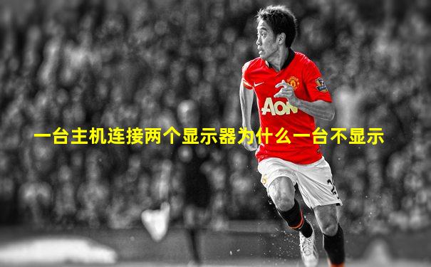 一台主机连接两个显示器为什么一台不显示
