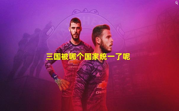 三国被哪个国家统一了呢