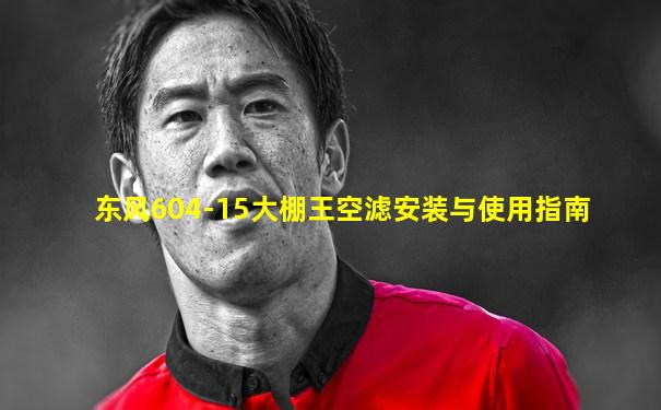 东风604-15大棚王空滤安装与使用指南