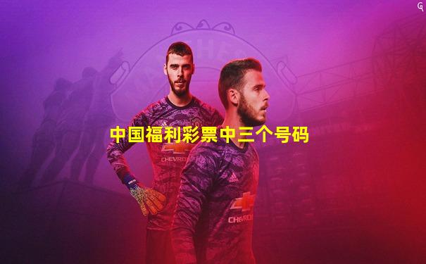 中国福利彩票中三个号码