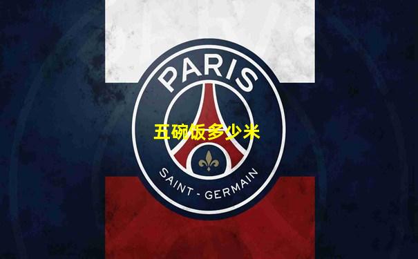五碗饭多少米