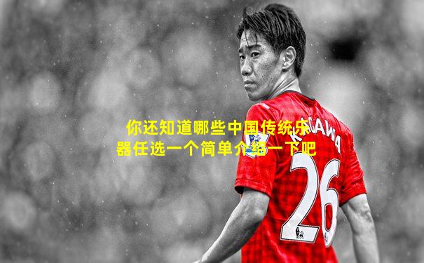 你还知道哪些中国传统乐器任选一个简单介绍一下吧