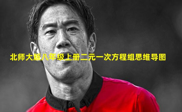 北师大版八年级上册二元一次方程组思维导图