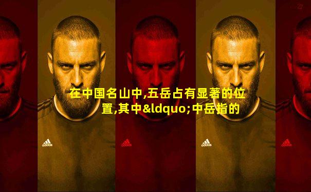 在中国名山中,五岳占有显著的位置,其中“中岳指的是”