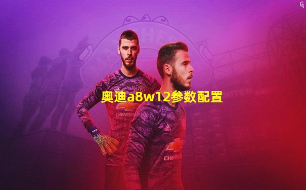 奥迪a8w12参数配置