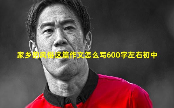 家乡的风俗这篇作文怎么写600字左右初中