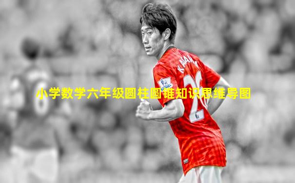 小学数学六年级圆柱圆锥知识思维导图
