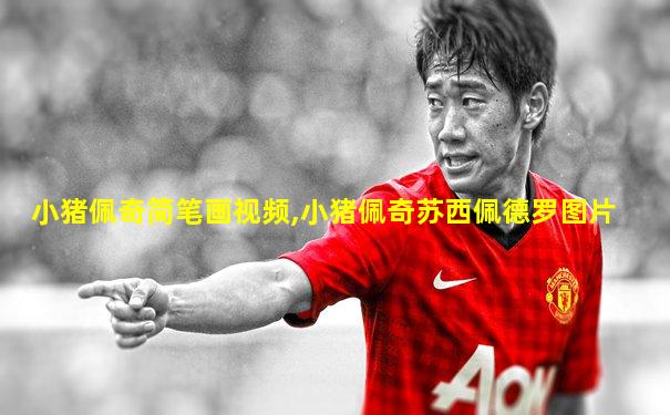 小猪佩奇简笔画视频,小猪佩奇苏西佩德罗图片