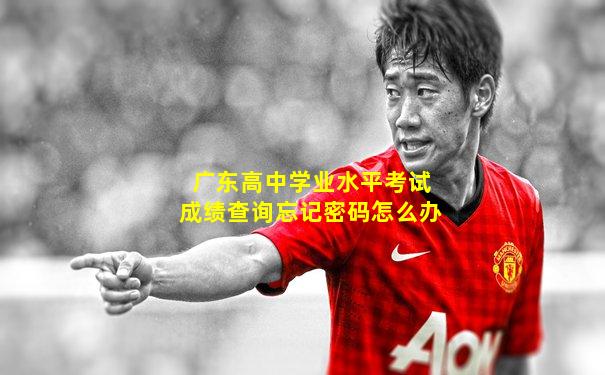 广东高中学业水平考试成绩查询忘记密码怎么办