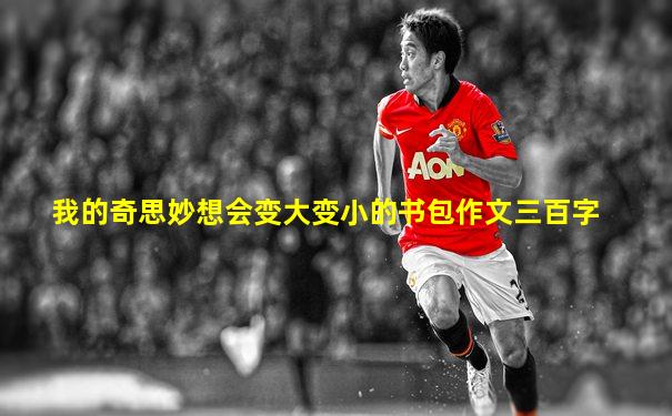我的奇思妙想会变大变小的书包作文三百字