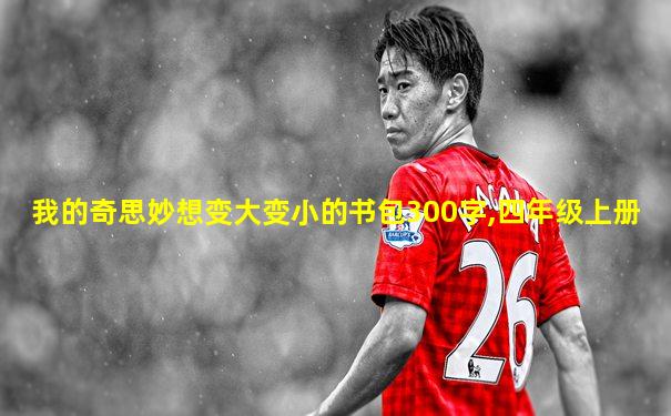我的奇思妙想变大变小的书包300字,四年级上册