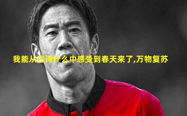 我能从古诗什么中感受到春天来了,万物复苏