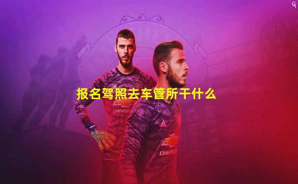 报名驾照去车管所干什么