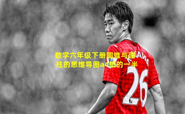 数学六年级下册圆锥与圆柱的思维导图a4纸的一半