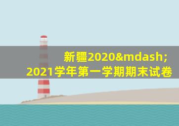 新疆2020—2021学年第一学期期末试卷