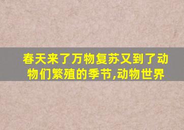 春天来了万物复苏又到了动物们繁殖的季节,动物世界