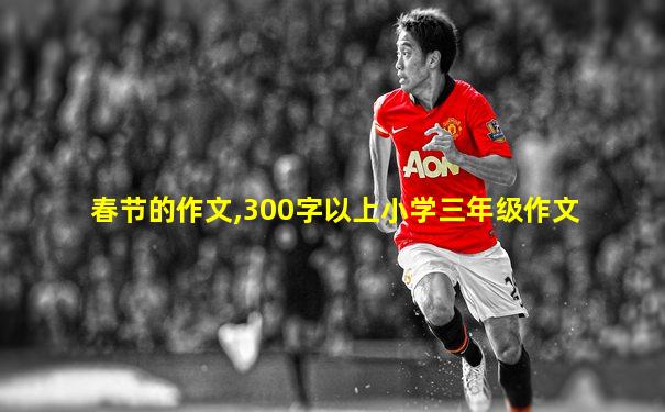春节的作文,300字以上小学三年级作文
