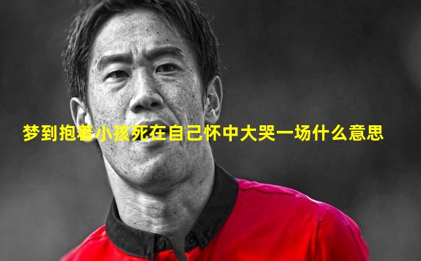 梦到抱着小孩死在自己怀中大哭一场什么意思