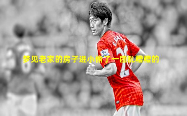 梦见老家的房子进小偷了一团乱糟糟的