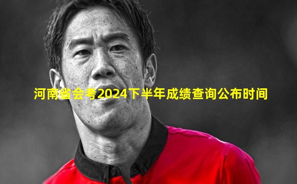 河南省会考2024下半年成绩查询公布时间
