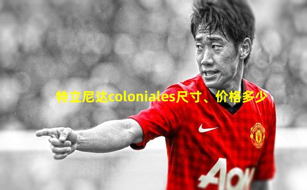 特立尼达coloniales尺寸、价格多少