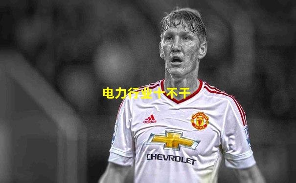 电力行业十不干