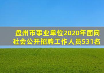 盘州市事业单位2020年面向社会公开招聘工作人员531名