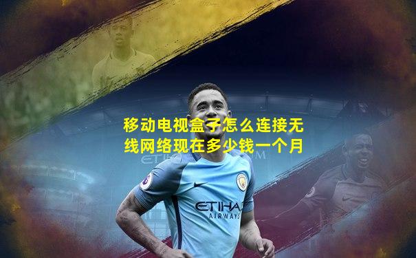 移动电视盒子怎么连接无线网络现在多少钱一个月