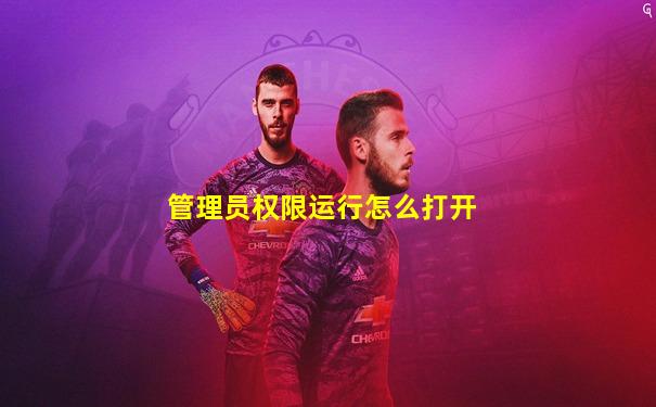 管理员权限运行怎么打开