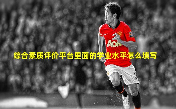 综合素质评价平台里面的学业水平怎么填写