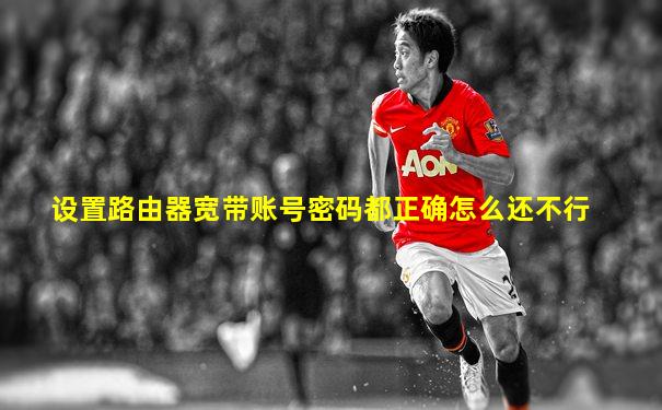 设置路由器宽带账号密码都正确怎么还不行