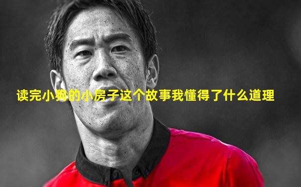读完小狗的小房子这个故事我懂得了什么道理