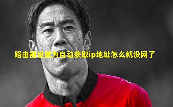 路由器设置为自动获取ip地址怎么就没网了