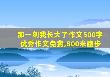 那一刻我长大了作文500字优秀作文免费,800米跑步