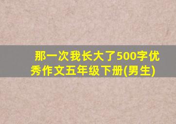 那一次我长大了500字优秀作文五年级下册(男生)
