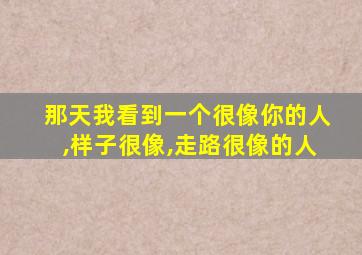 那天我看到一个很像你的人,样子很像,走路很像的人