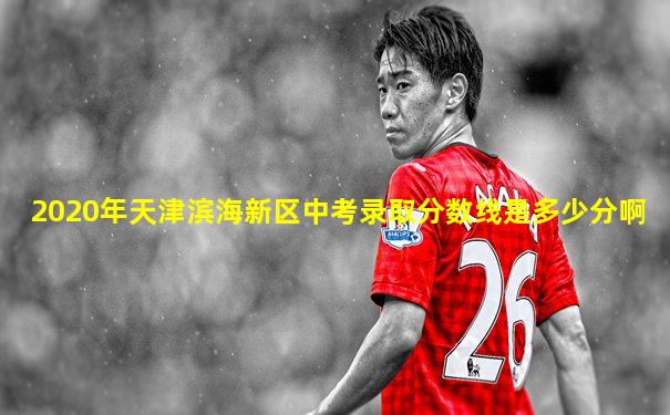 2020年天津滨海新区中考录取分数线是多少分啊