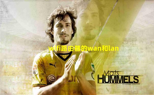 wifi路由器的wan和lan