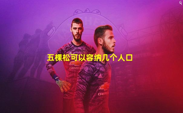 五棵松可以容纳几个人口