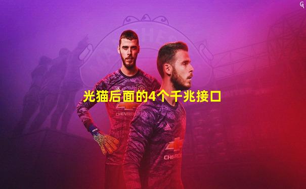 光猫后面的4个千兆接口