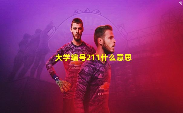 大学编号211什么意思