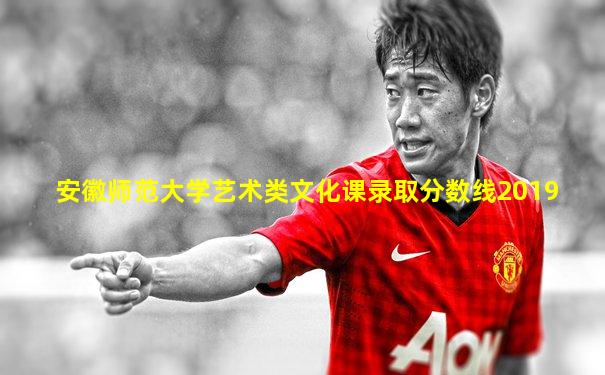 安徽师范大学艺术类文化课录取分数线2019