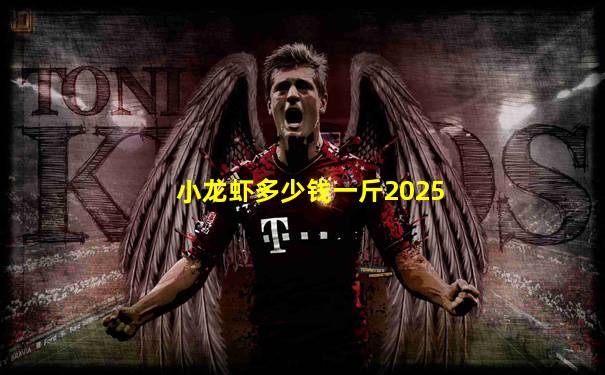 小龙虾多少钱一斤2025